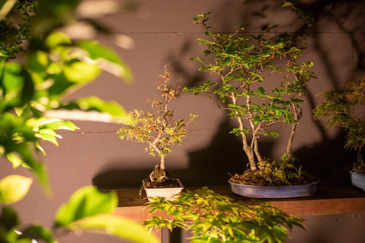 Apartmán Il Giardino Segreto Carbognano Exteriér fotografie