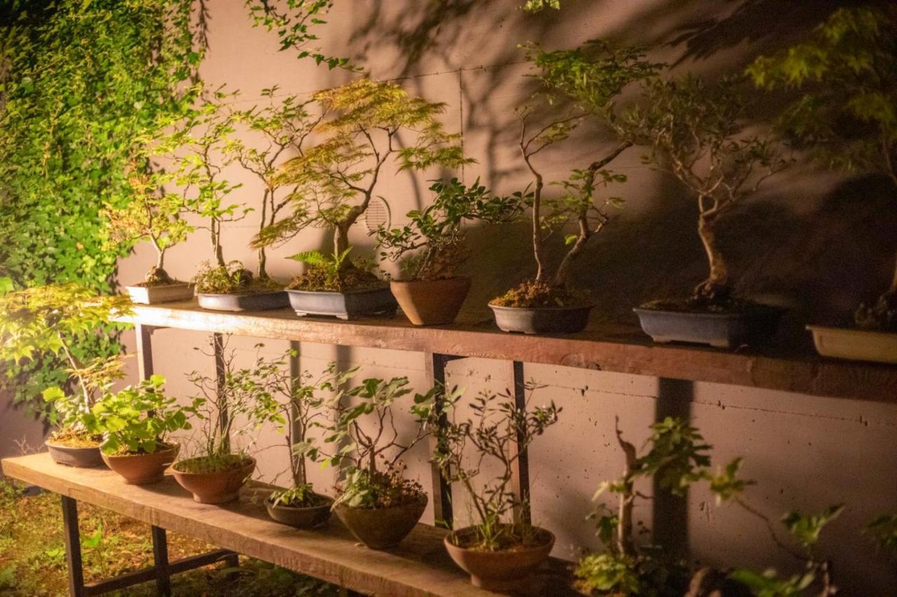 Apartmán Il Giardino Segreto Carbognano Exteriér fotografie