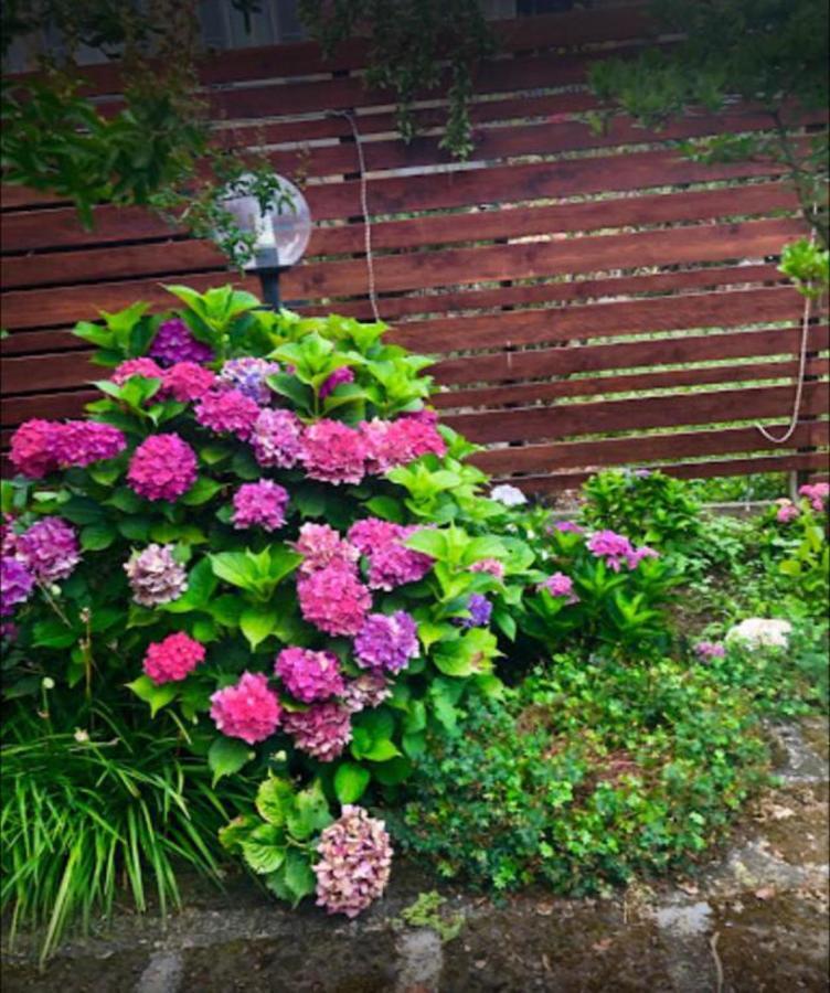 Apartmán Il Giardino Segreto Carbognano Exteriér fotografie