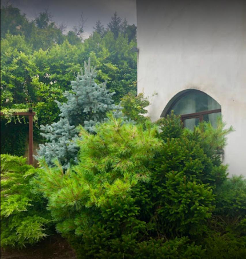 Apartmán Il Giardino Segreto Carbognano Exteriér fotografie